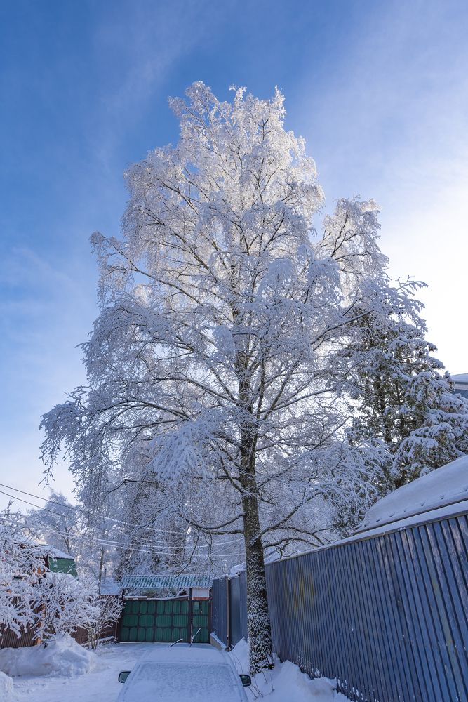 Photograph by Алексей Новиков