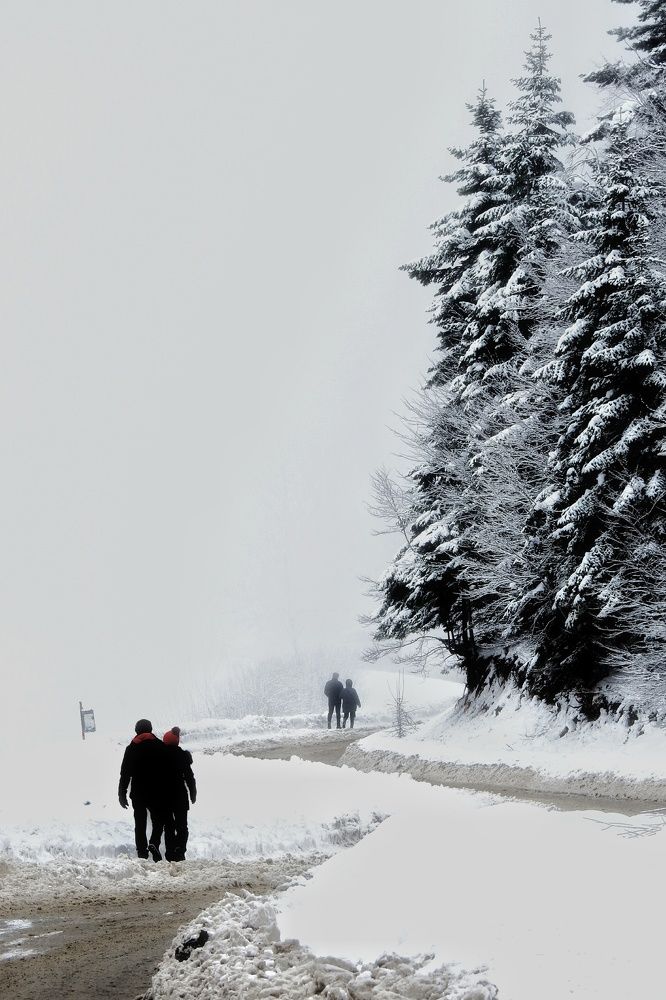 Photograph by fuat cimok