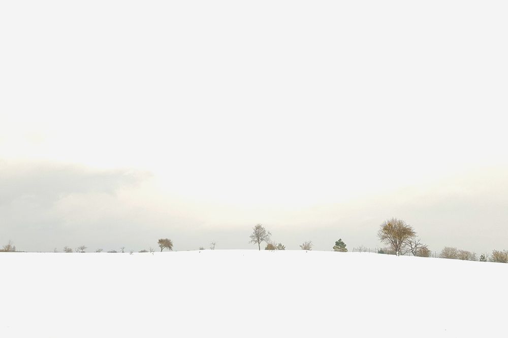 Photograph by fuat cimok