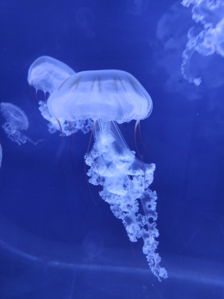 Photograph by Галина Лысых