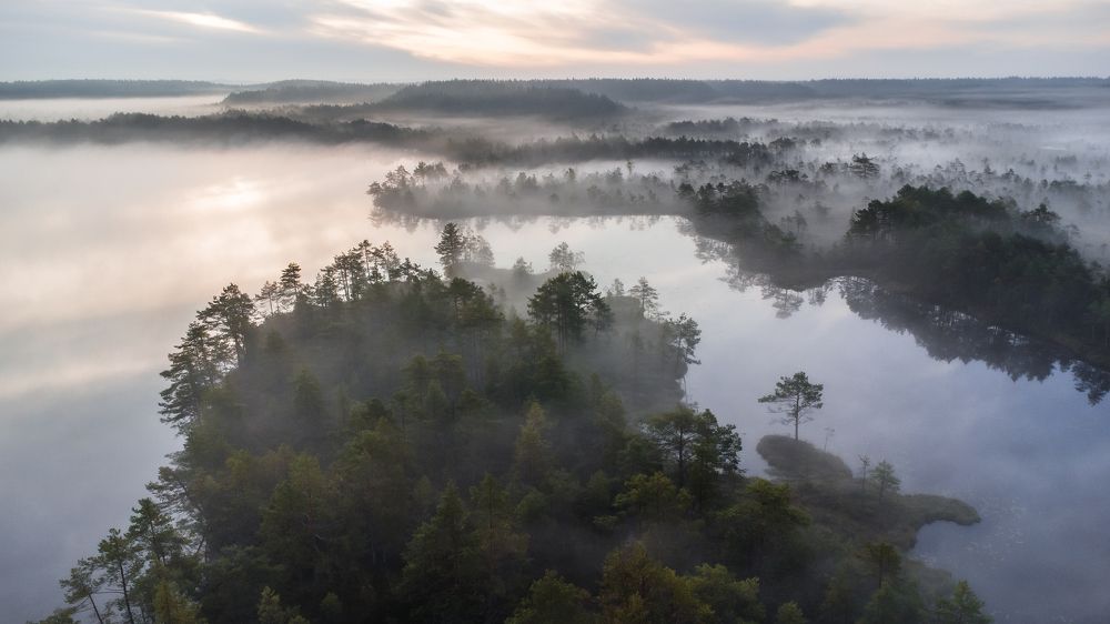 Photograph by Татьяна Кормашова