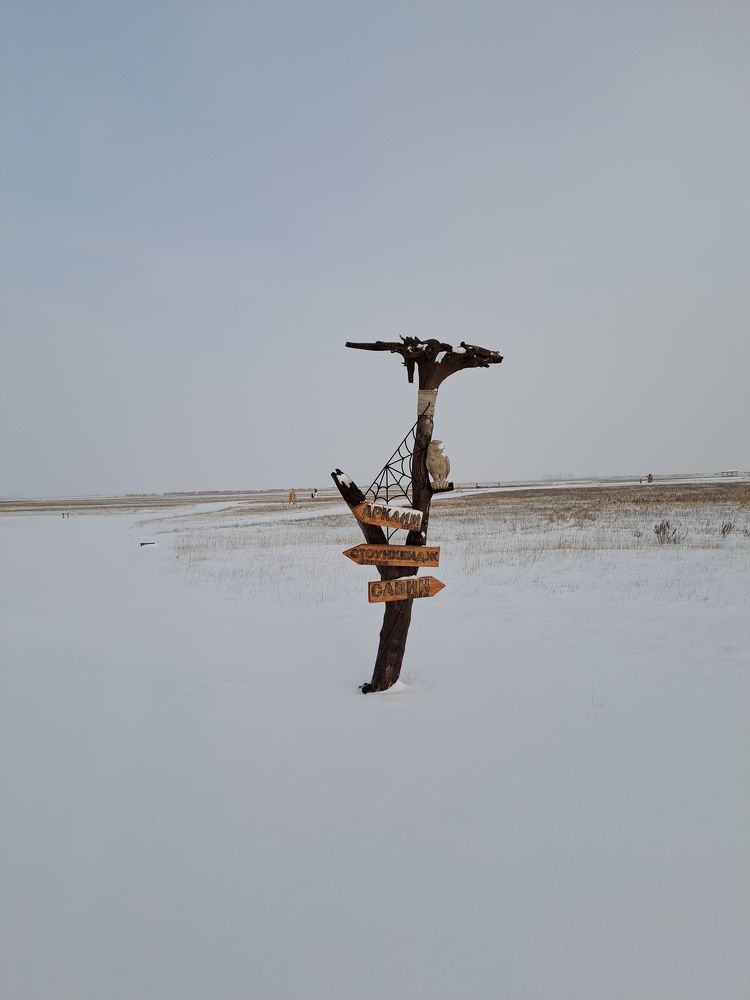 Photograph by Ирина Владимировна