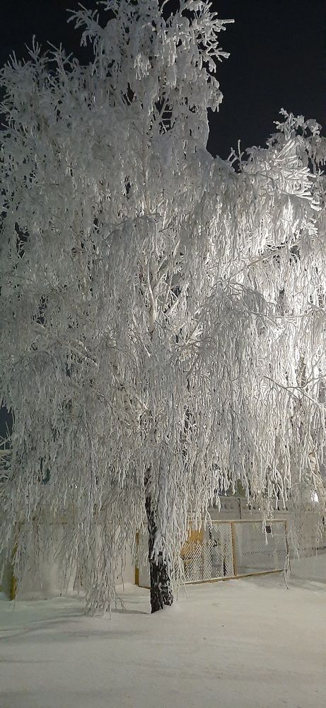 Photograph by Ирина Владимировна