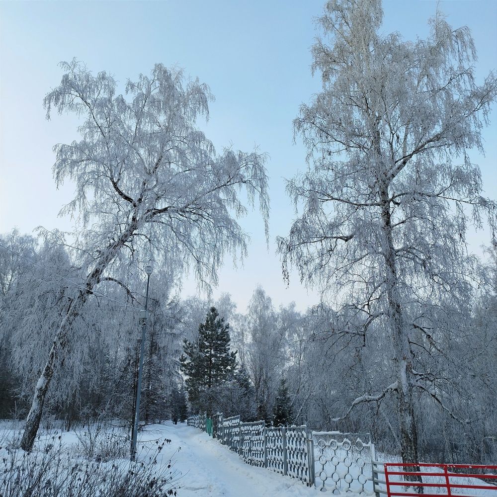 Photograph by Ирина Попелкова