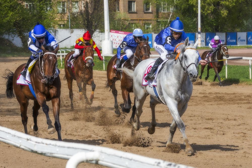 Фотография автора Анатолий