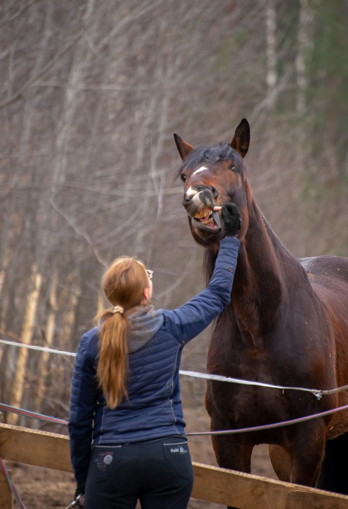 Фотография автора Aлексей Игнатьев