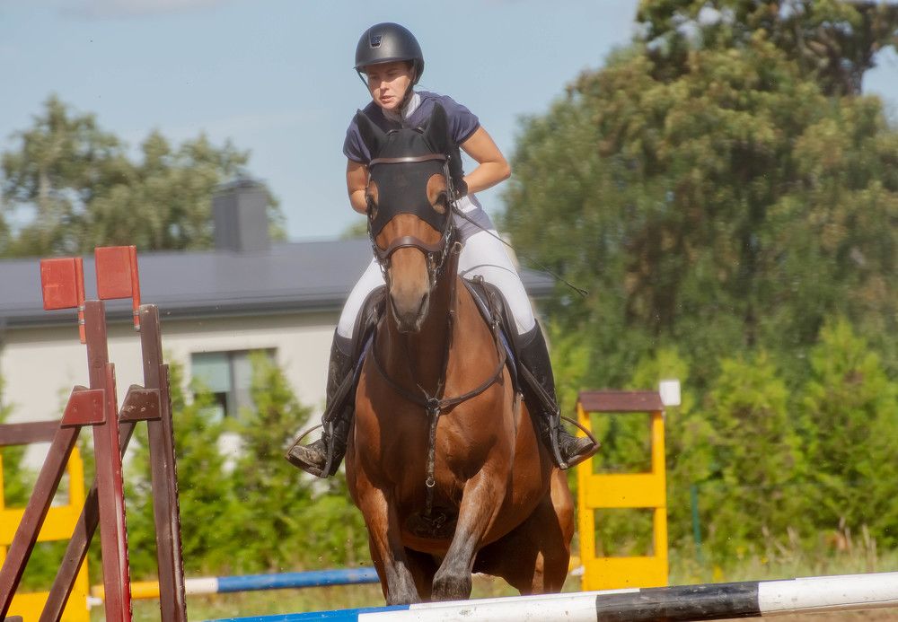 Фотография автора Aлексей Игнатьев