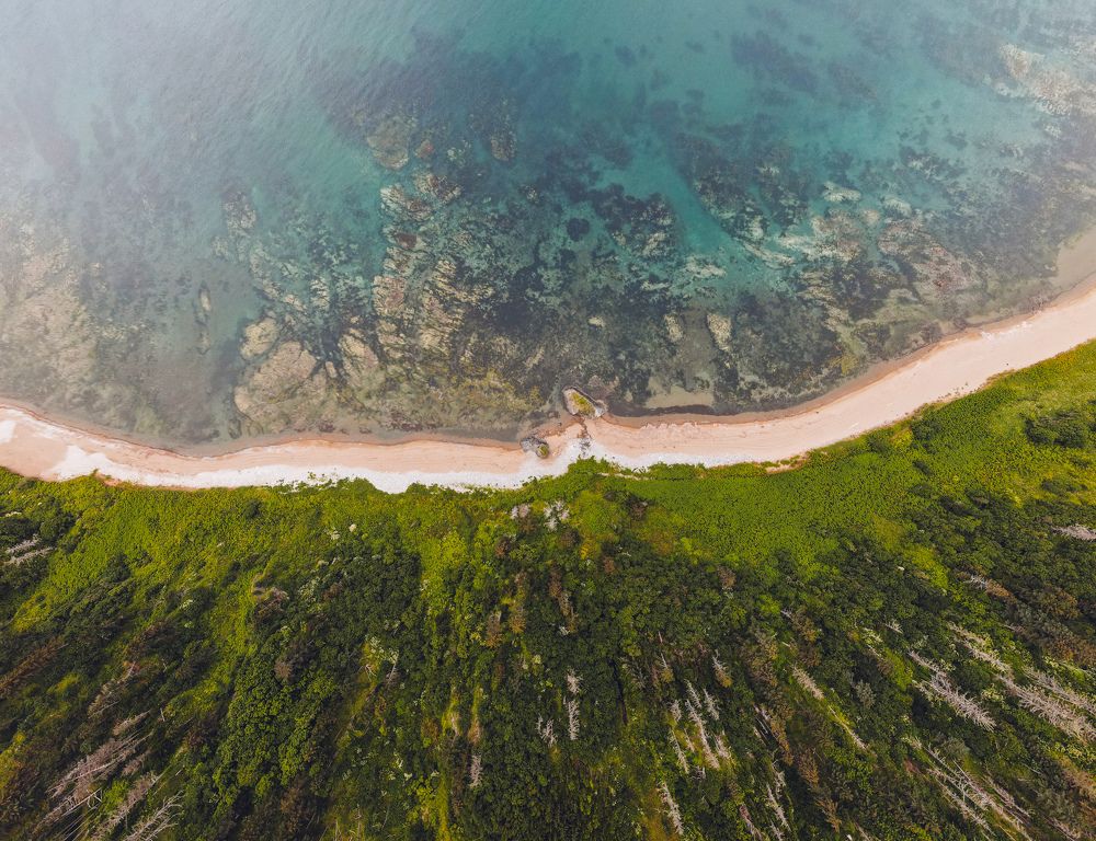 Photograph by Alena Poklonskaia