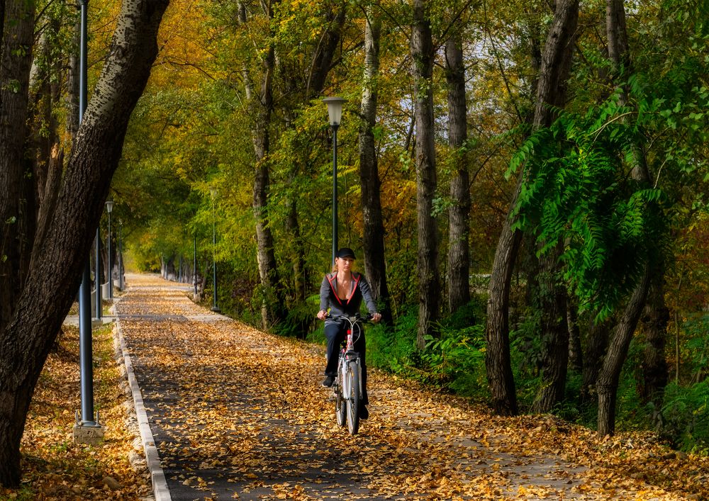 Photograph by Владимир Кваша