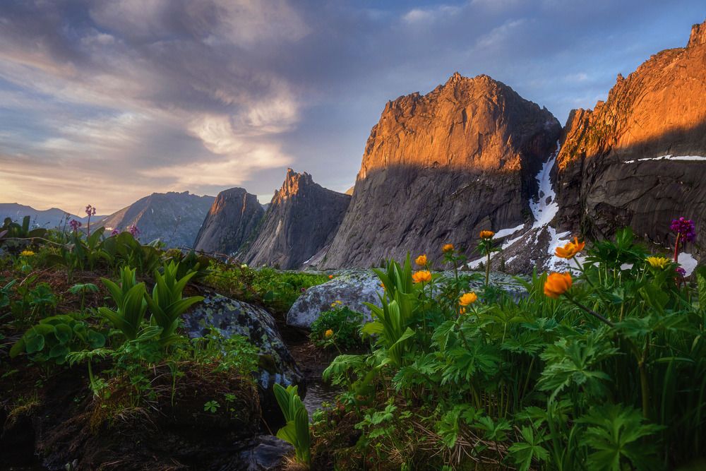 Photograph by Алексей Кретов