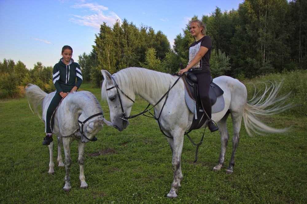 Фотография автора Анатолий Борисов