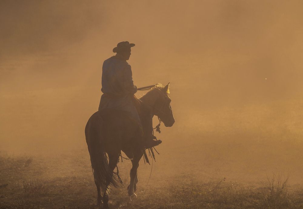 The Devil's Horseman