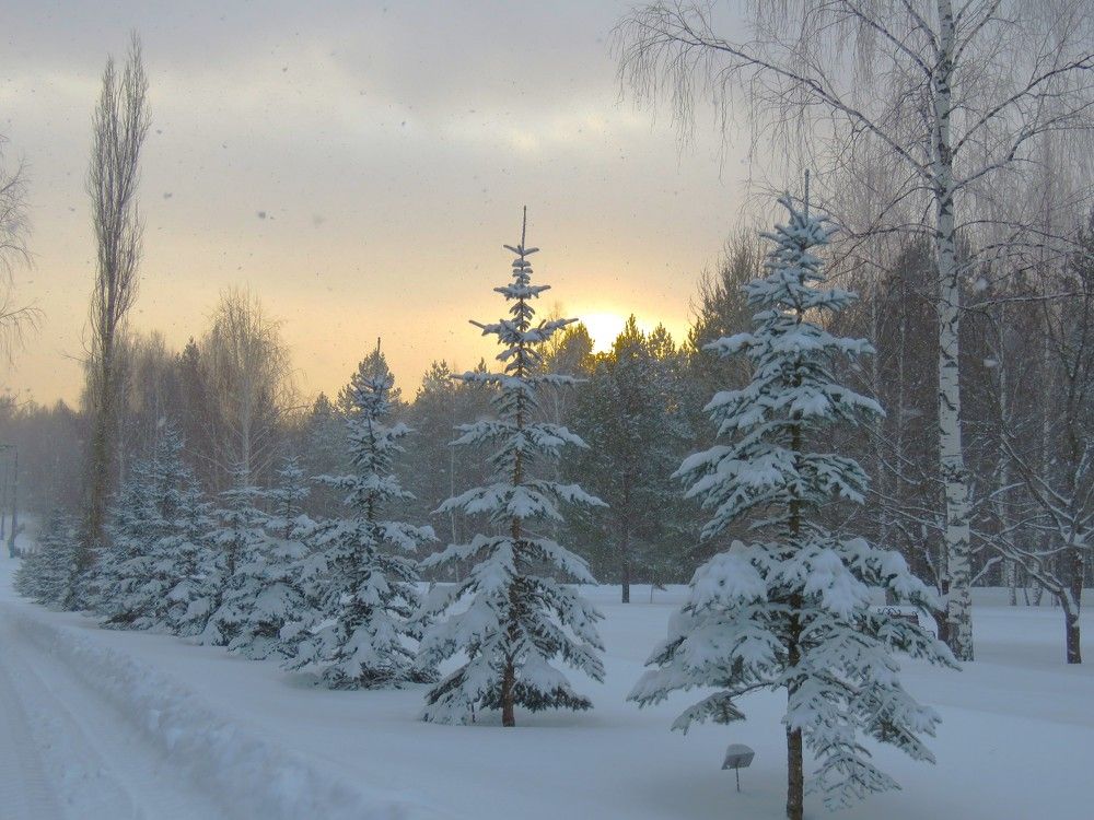 Photograph by НАТАЛЬЯ РОДИНА