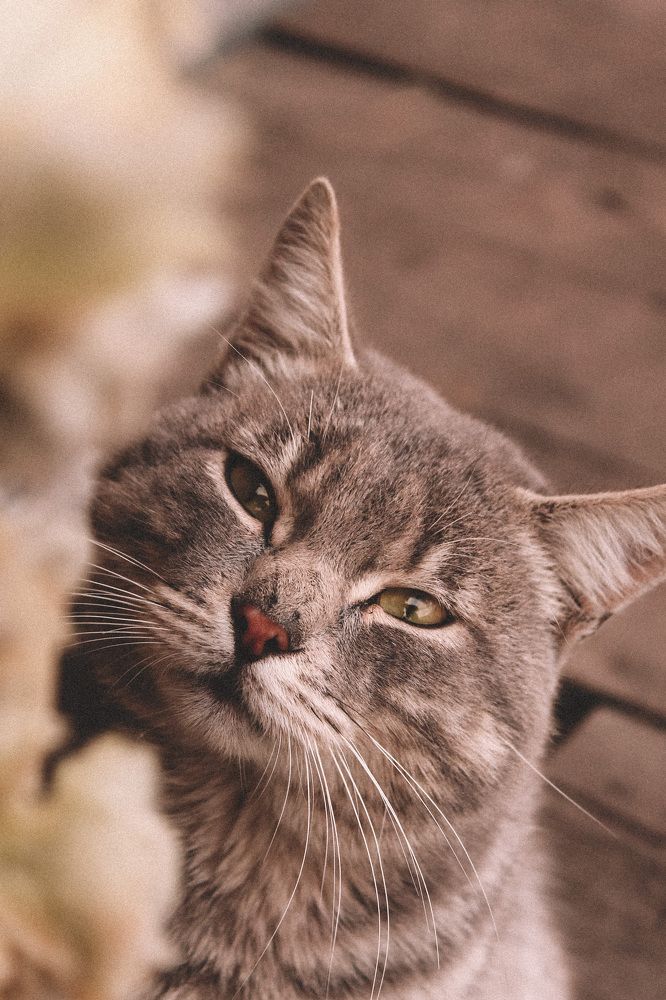 Photograph by Яна Нестерова