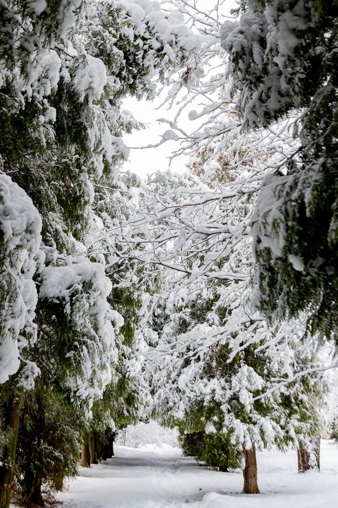 Photograph by Анна Крюкова