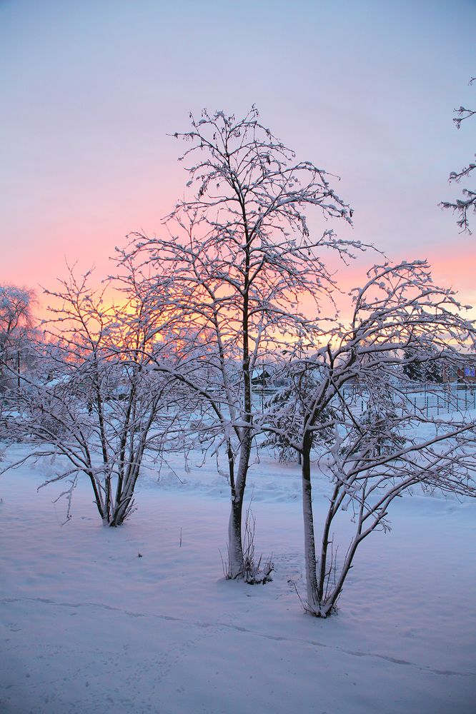 Photograph by Борис Назаров