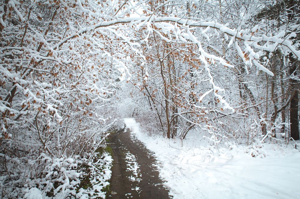 Photograph by Борис Назаров