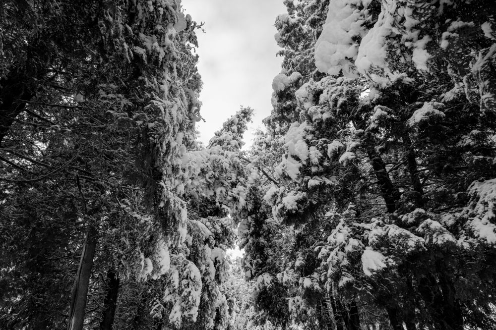 Photograph by Анна Крюкова