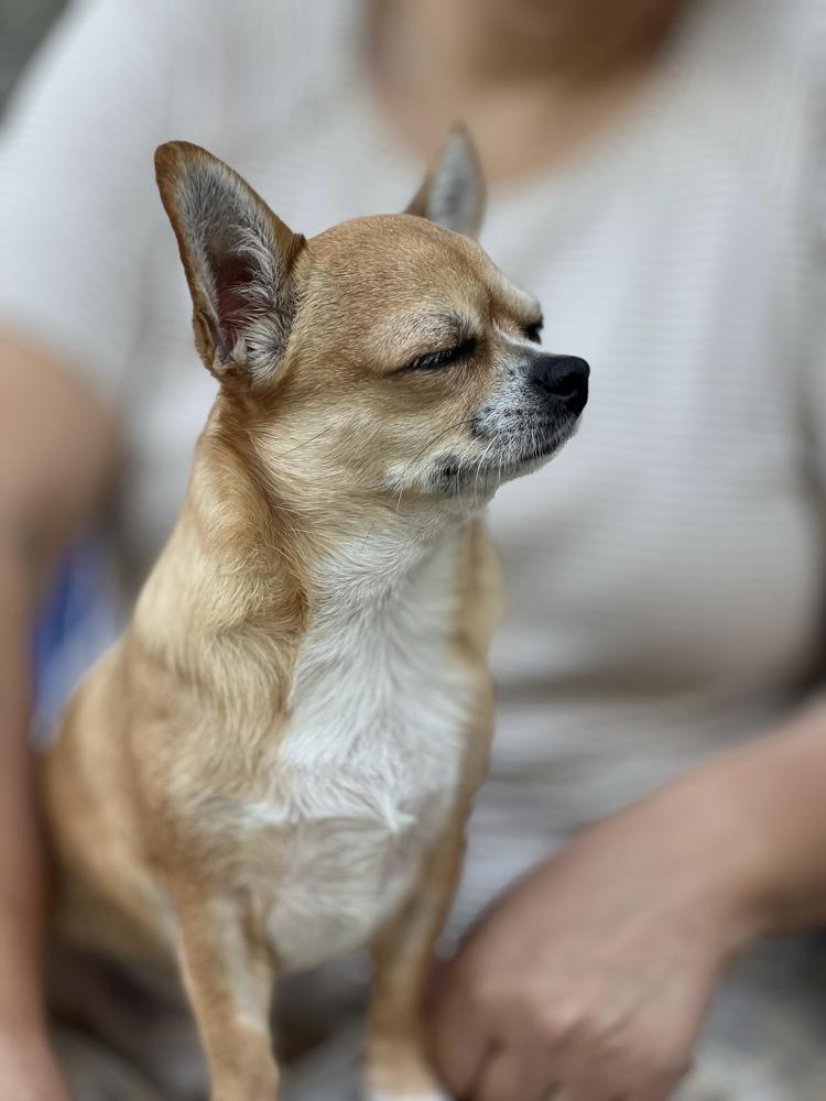 Фотография автора Александра Рябова