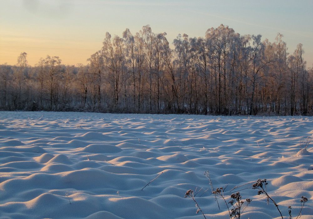 Photograph by Михаил Попов