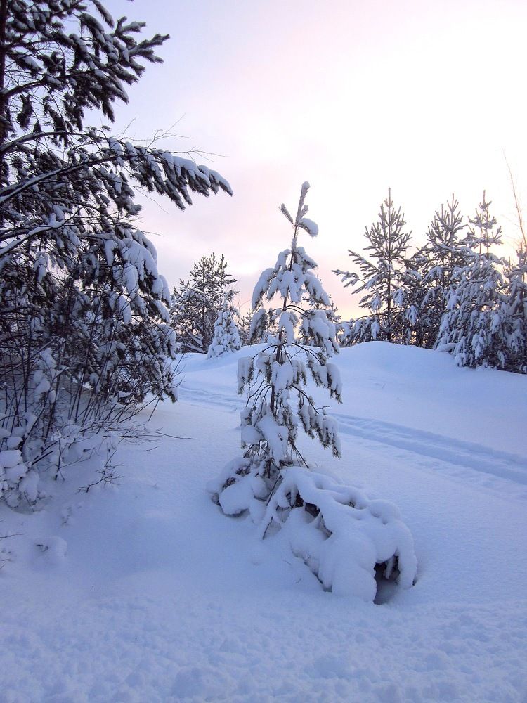 Photograph by Михаил Попов