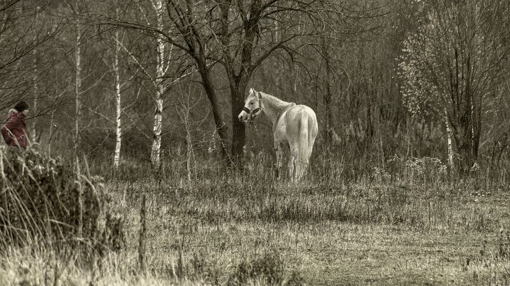 Photograph by Андрей Антонов