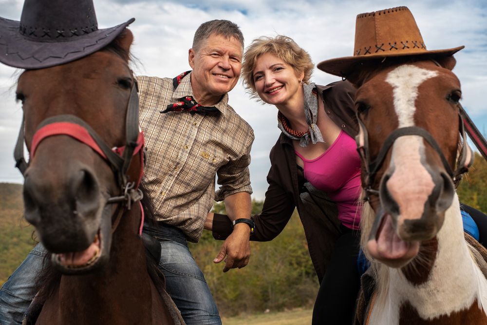 Лошади в шляпах