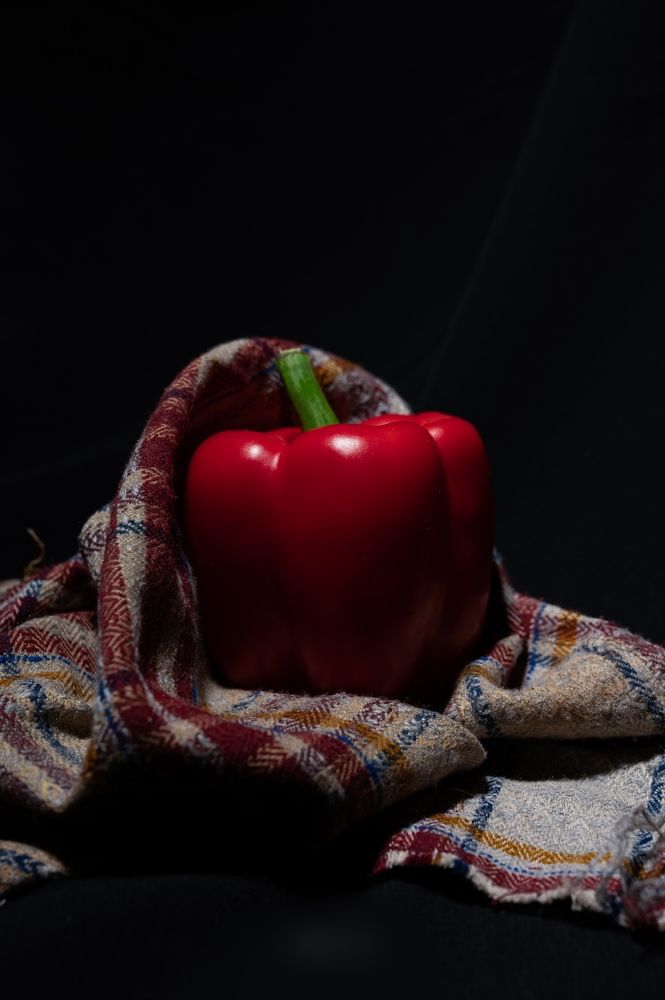 Фотография автора ebrahim omar