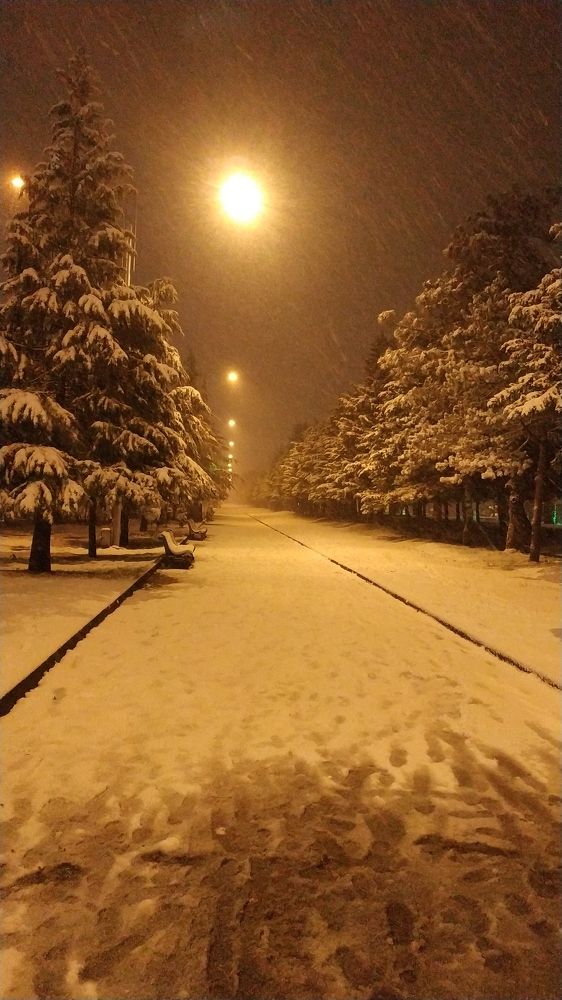 Фотография автора Георгий Черник