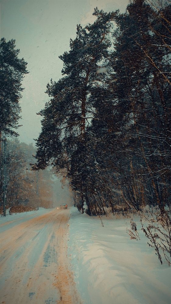 Photograph by Мария Козыренцева