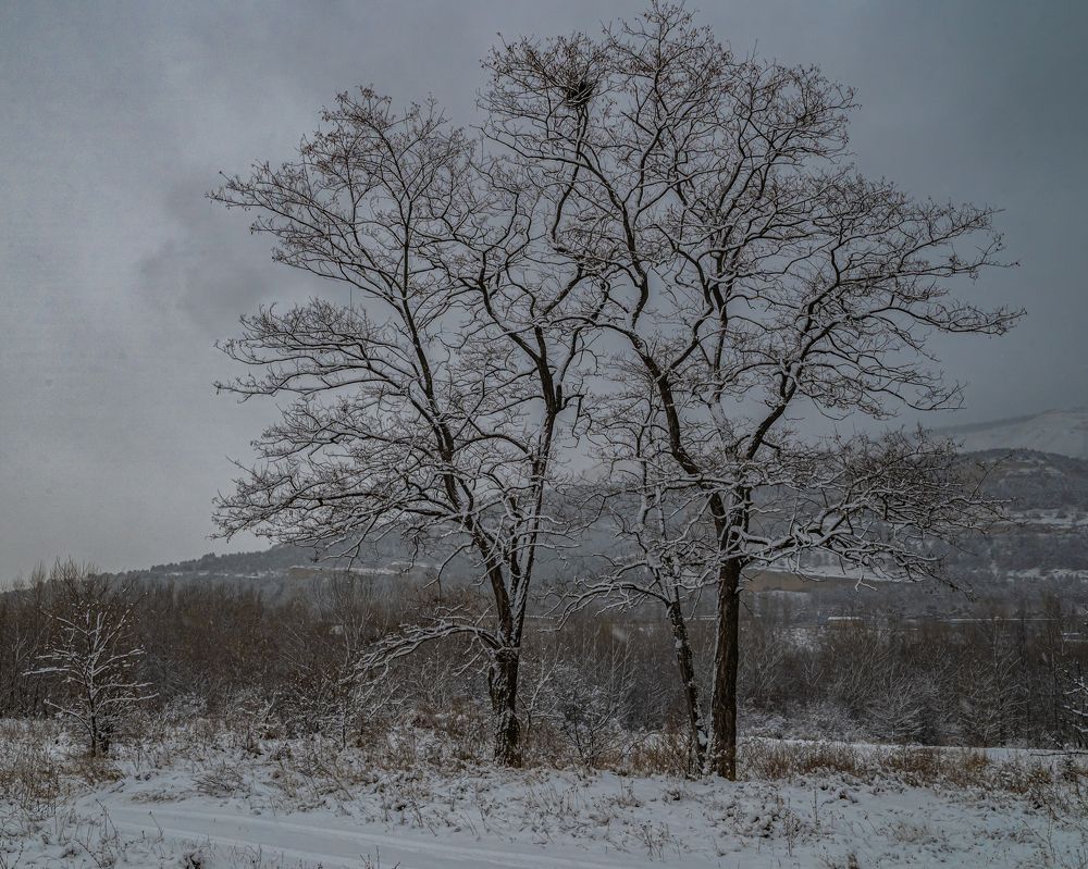 Photograph by Савчук Сергей