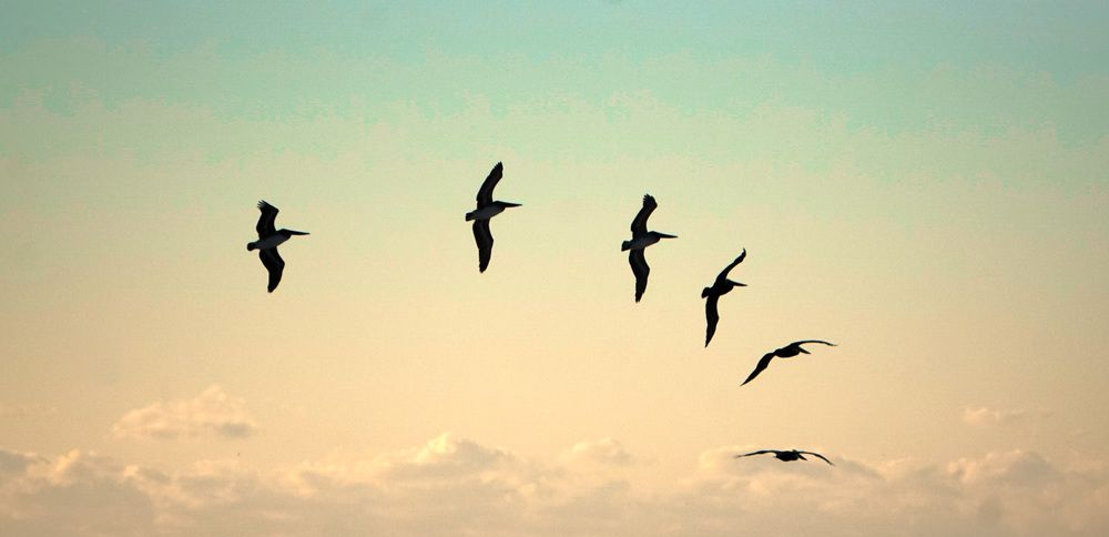 Photograph by Ethan Williams