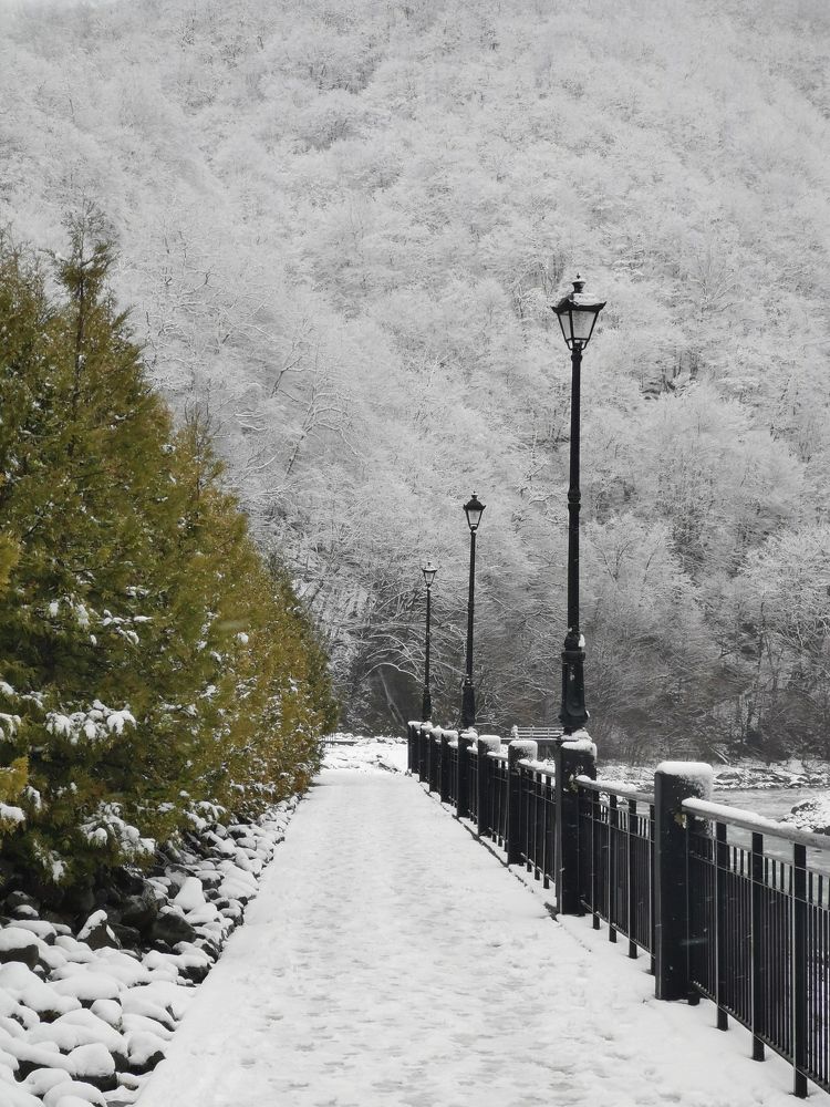 Photograph by Анастасия Бреева