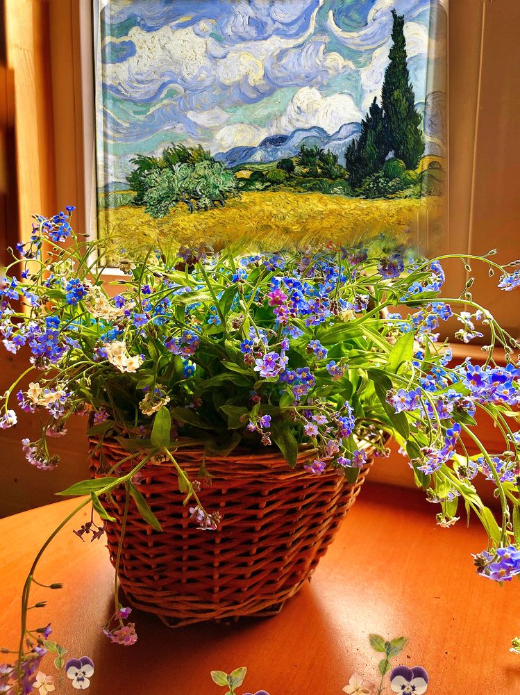 Photograph by Алла Творогова