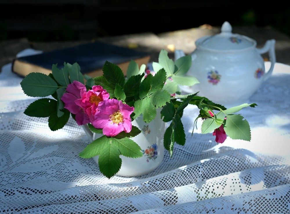Photograph by Светлана Юрьевна Елагина