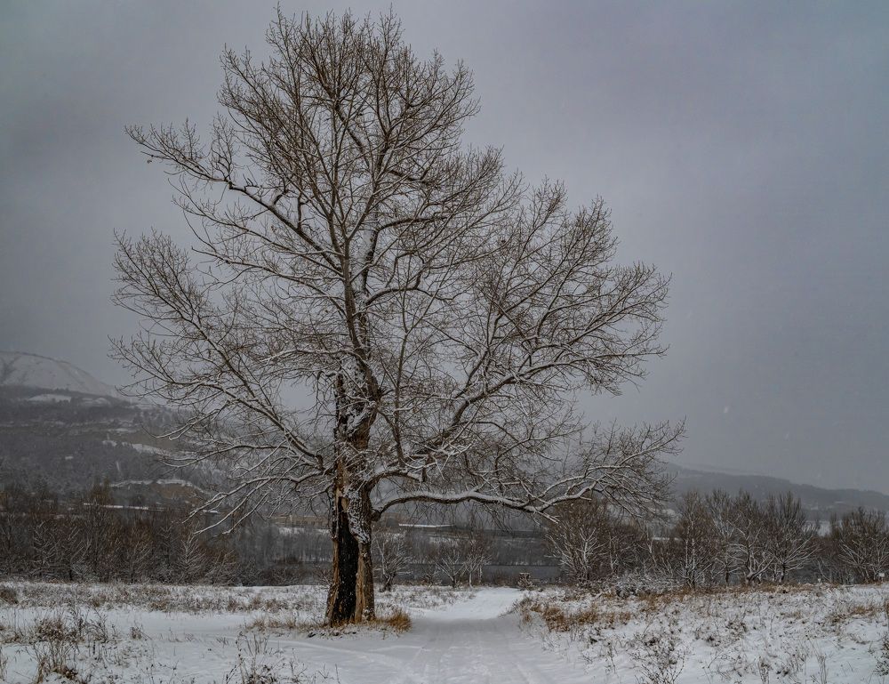 Photograph by Савчук Сергей