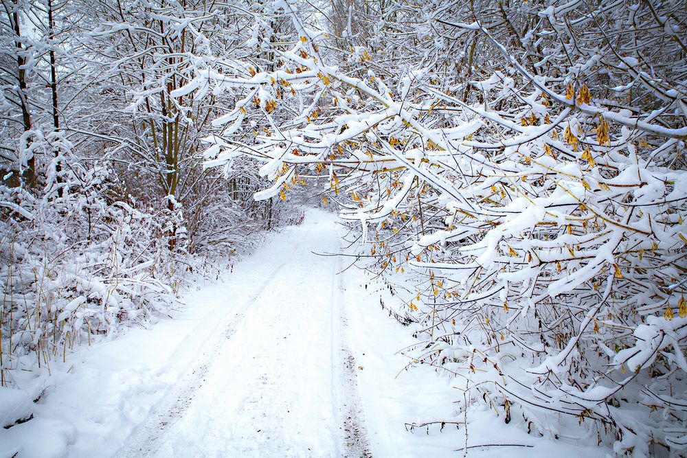 Photograph by Борис Назаров