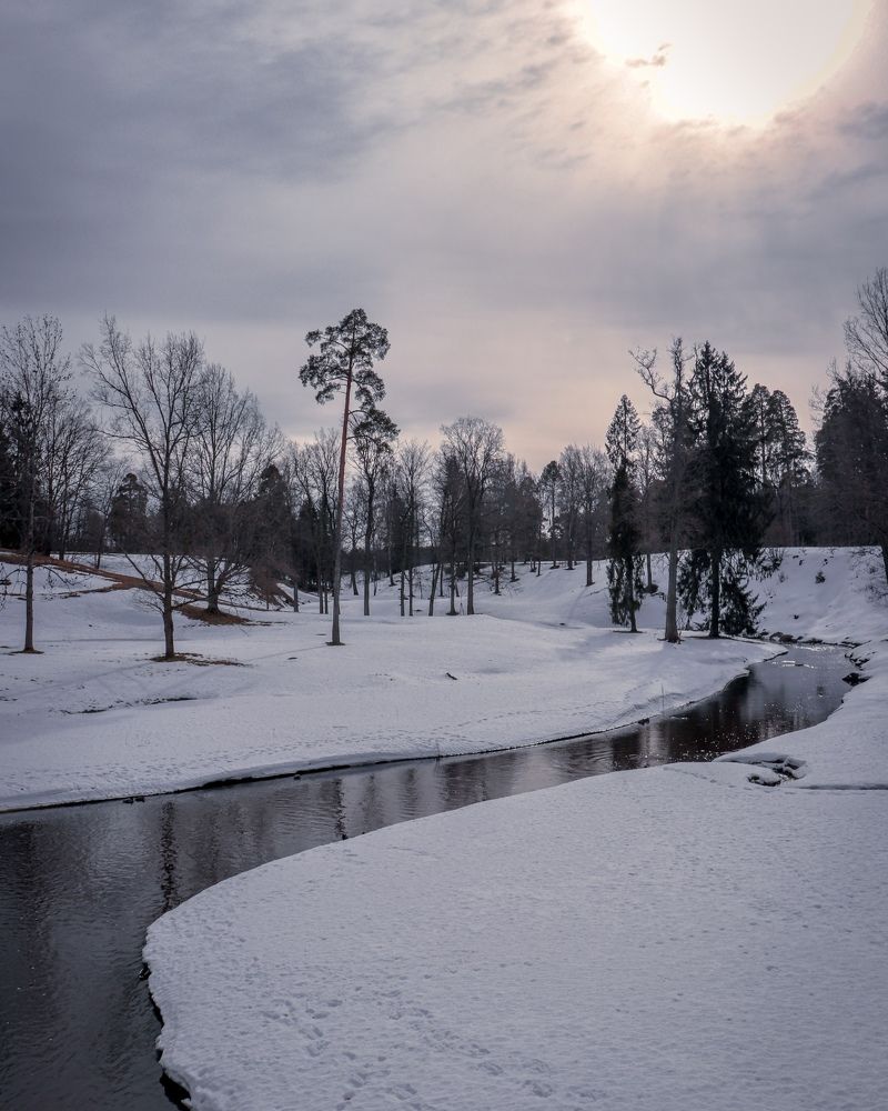 Photograph by Inna Sknara