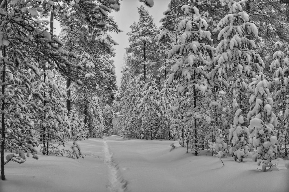 Photograph by Марина Безенкина