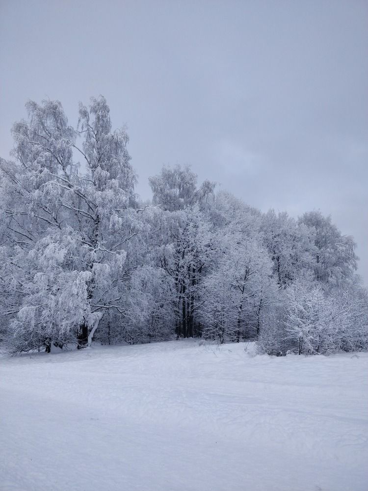 Photograph by Татьяна Тихонова