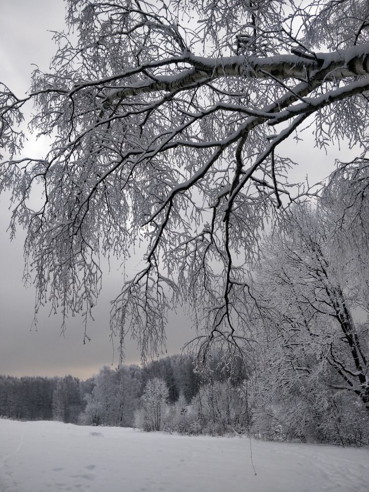 Photograph by Татьяна Тихонова