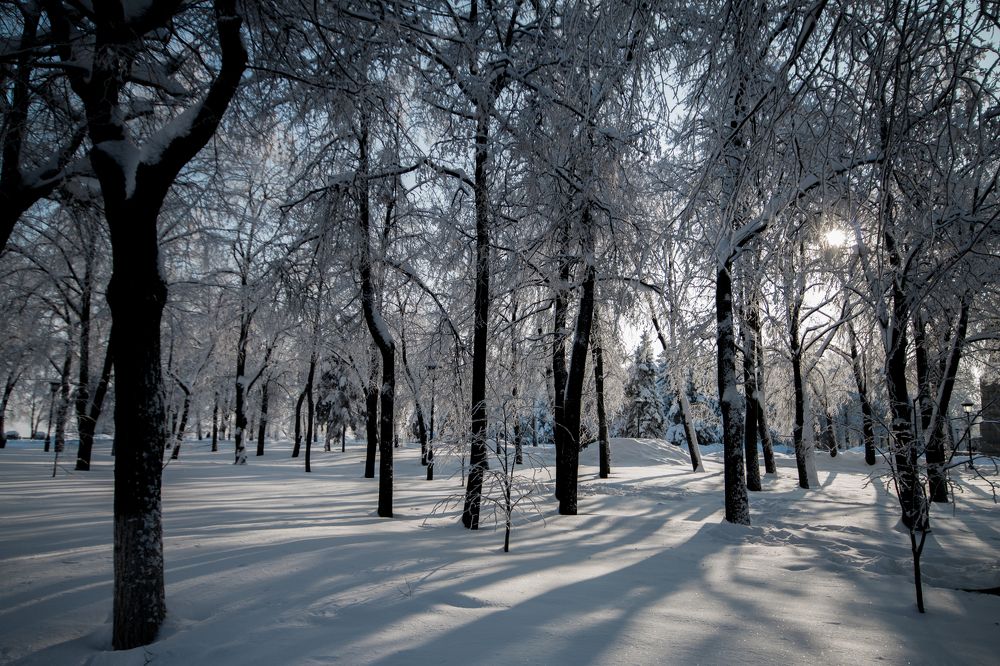 Фотография автора Максимов Алексей