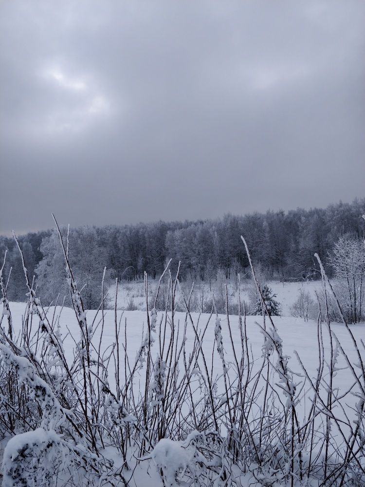 Photograph by Татьяна Тихонова