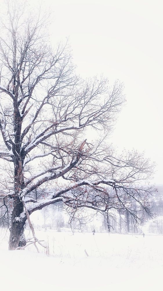 Photograph by Анна Вокуева