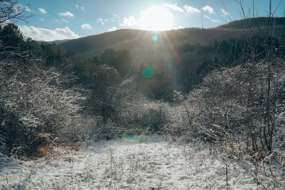 Фотография автора Татьяна Тур