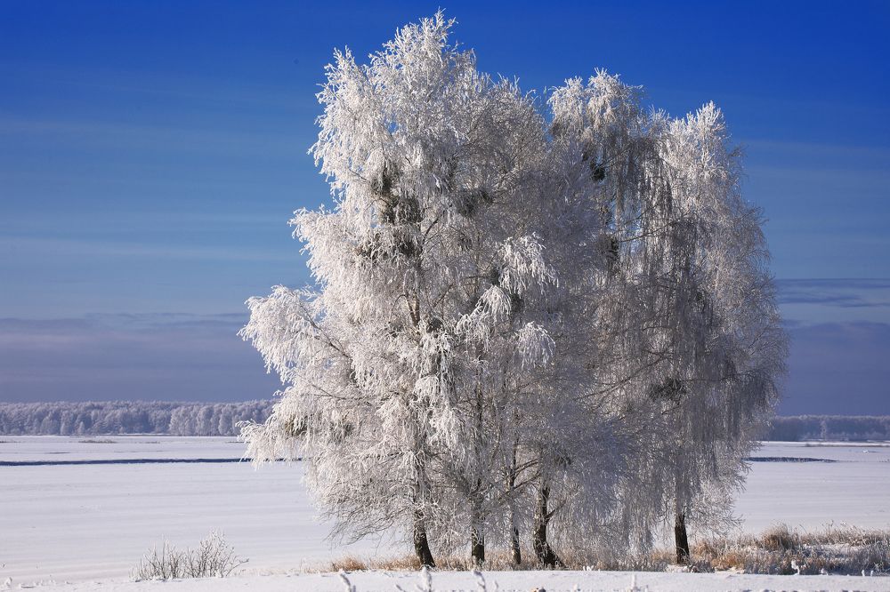 Photograph by Николай Протасеня