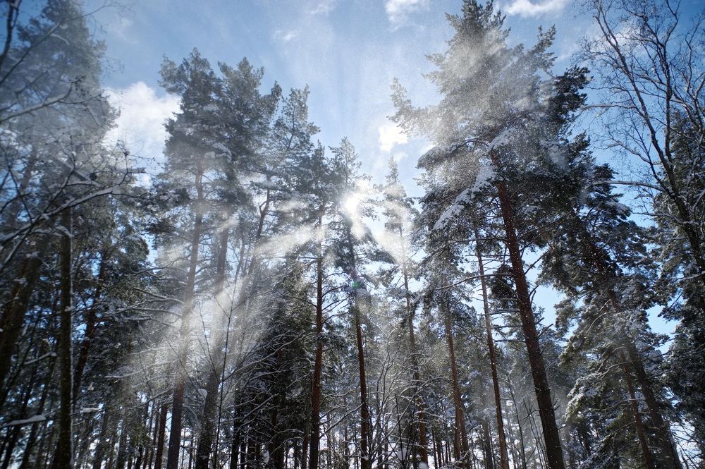 Photograph by Вадим Шейдин