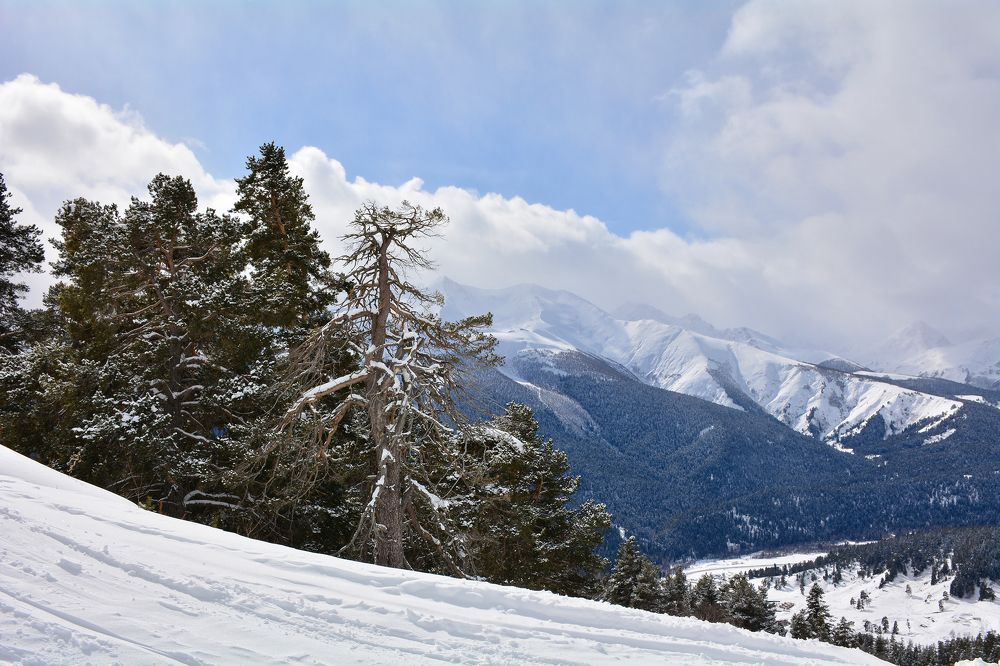 Photograph by Inna Ivanova