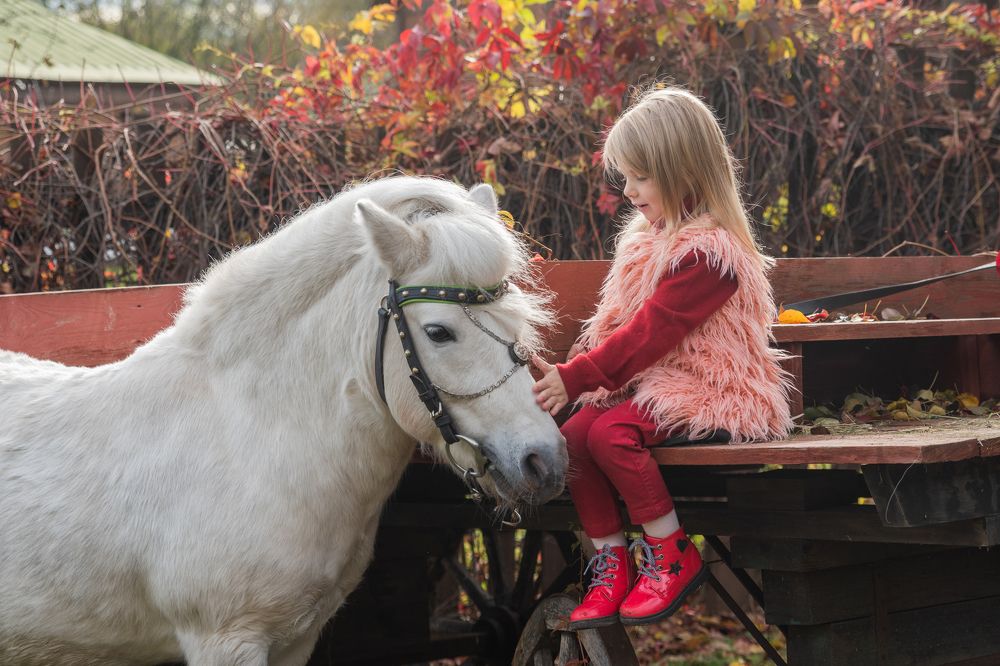 Photograph by Анастасия Григорян