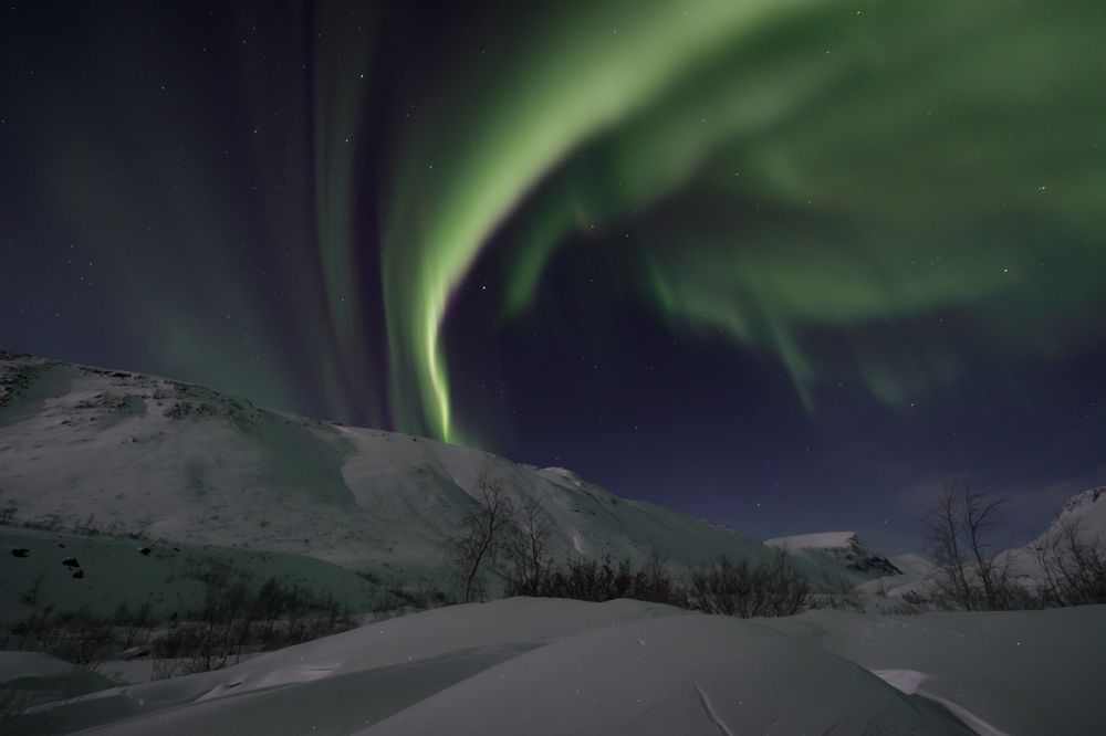 Photograph by Мария Казакова